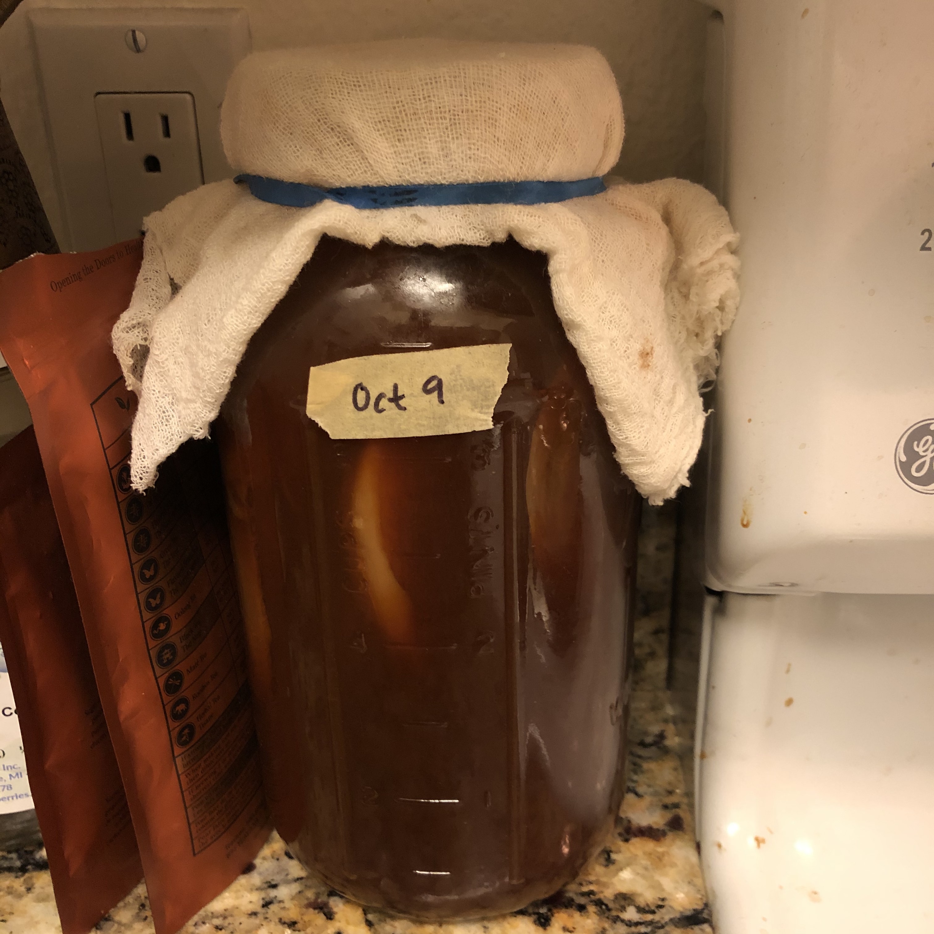 Kombucha fermetning in a glass jar